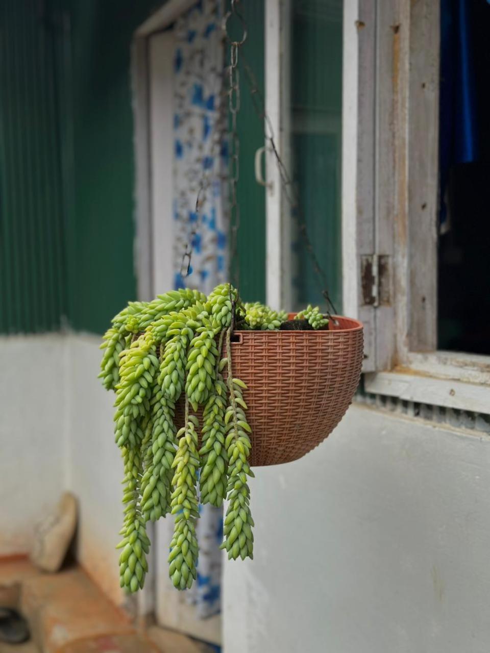 Eviana Homestay Darjeeling  Exterior photo