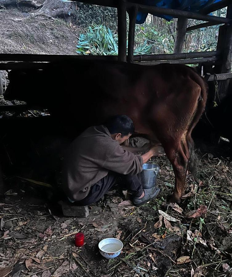 Eviana Homestay Darjeeling  Exterior photo